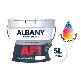 AF1 - Albany Professional 5l Tinted