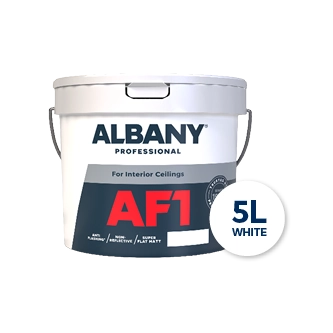 AF1 - Albany Professional 5l White