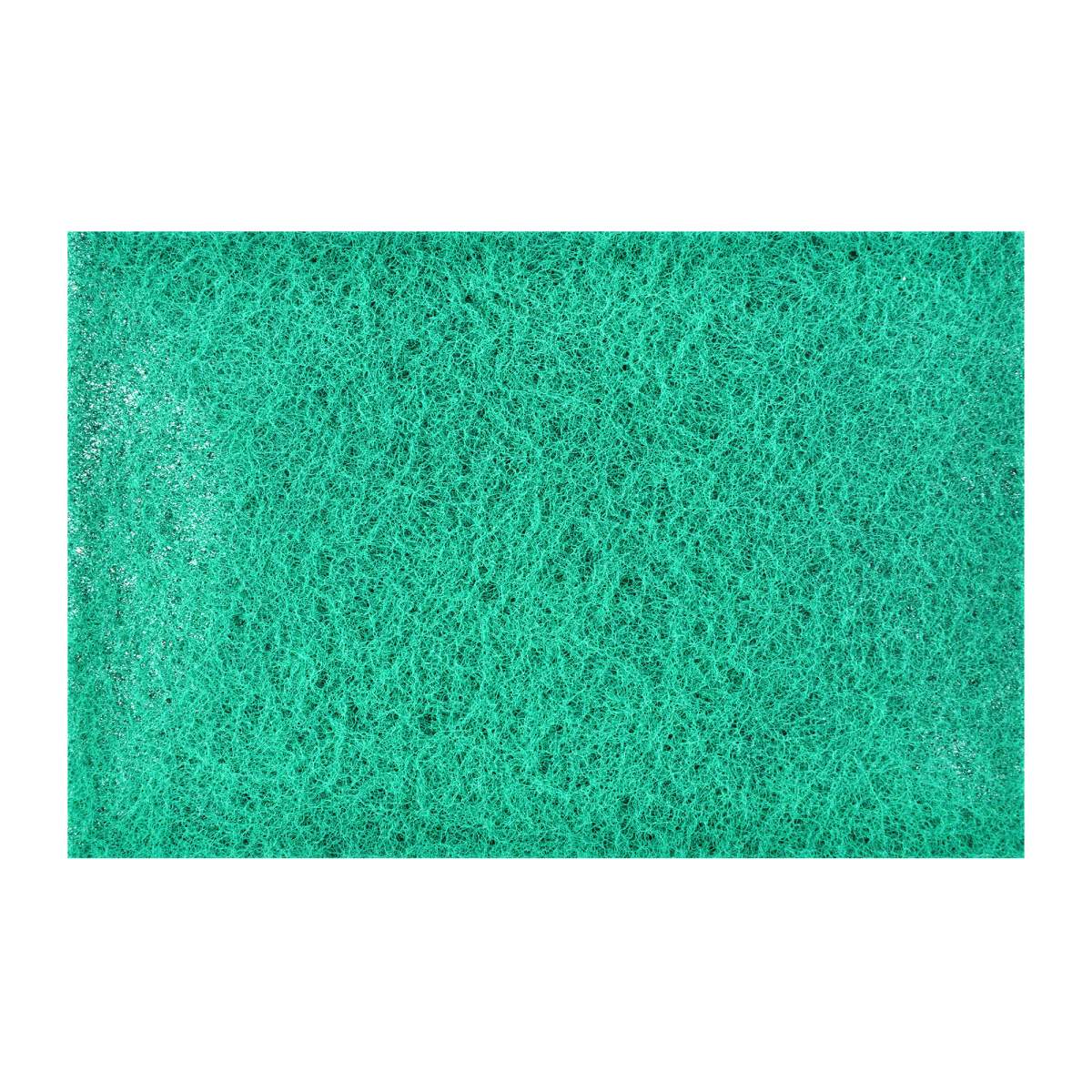 Nylon Web Hand Pad Green 
