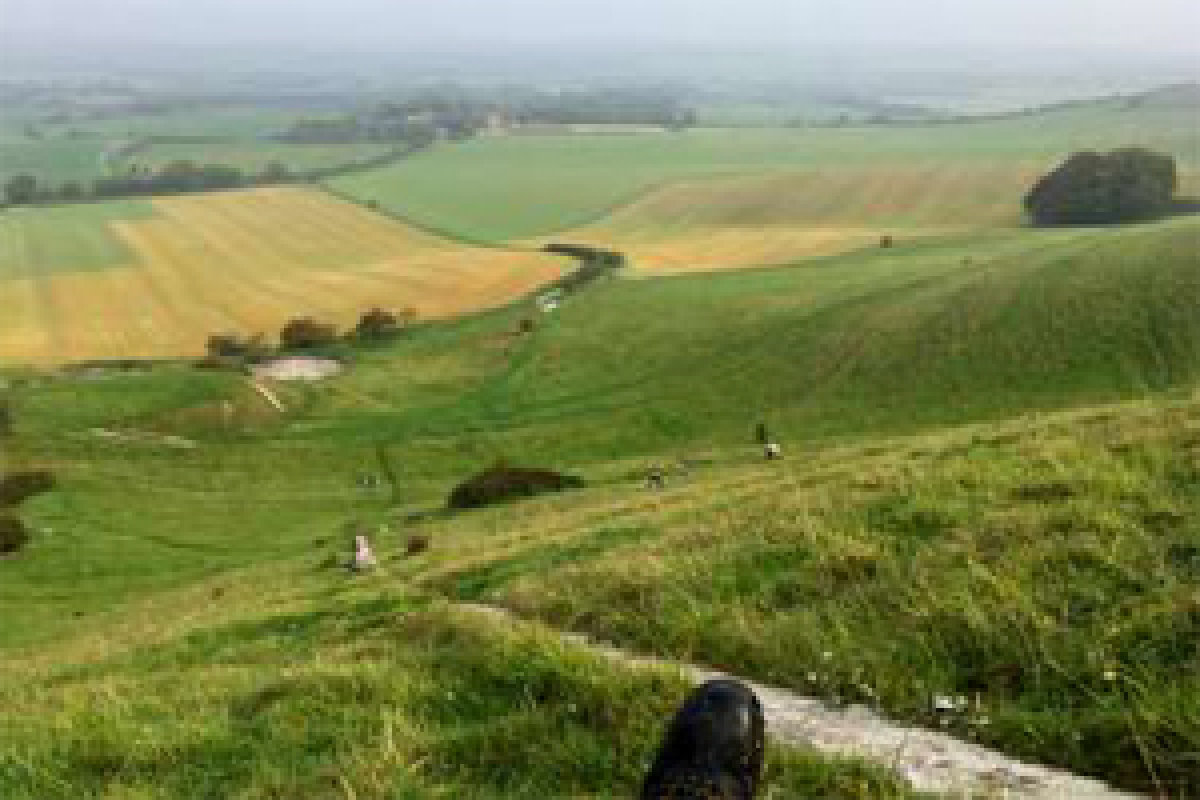 A view from the top