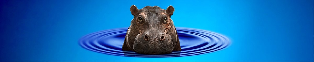 Hippo Large Banner