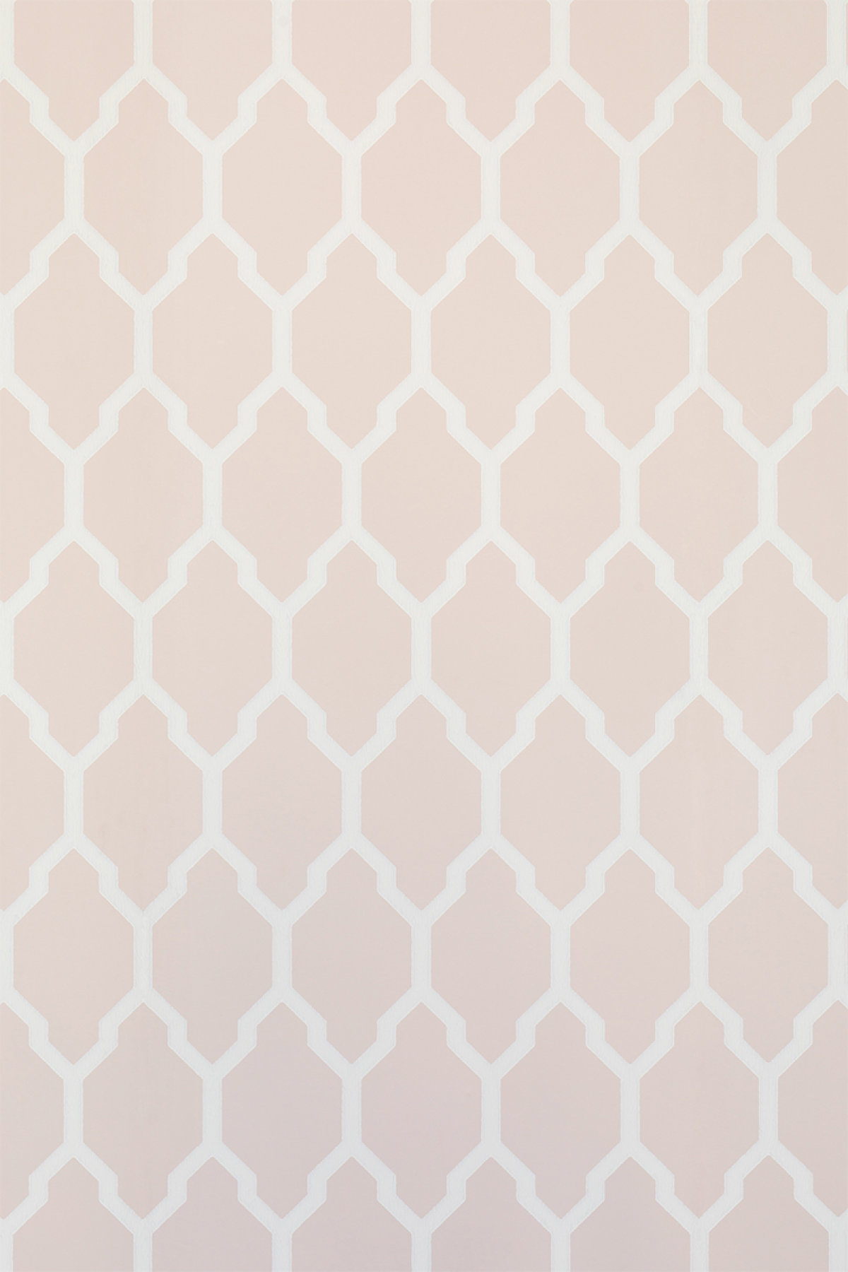 Tessella in Pink Ground and Pointing