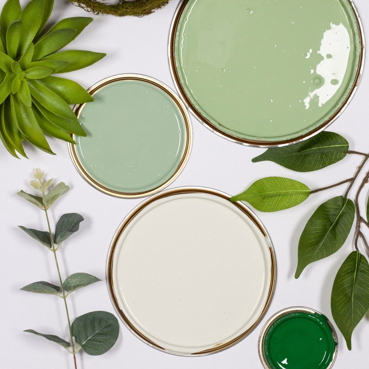 Nature's Greens from the Albany Design Collection