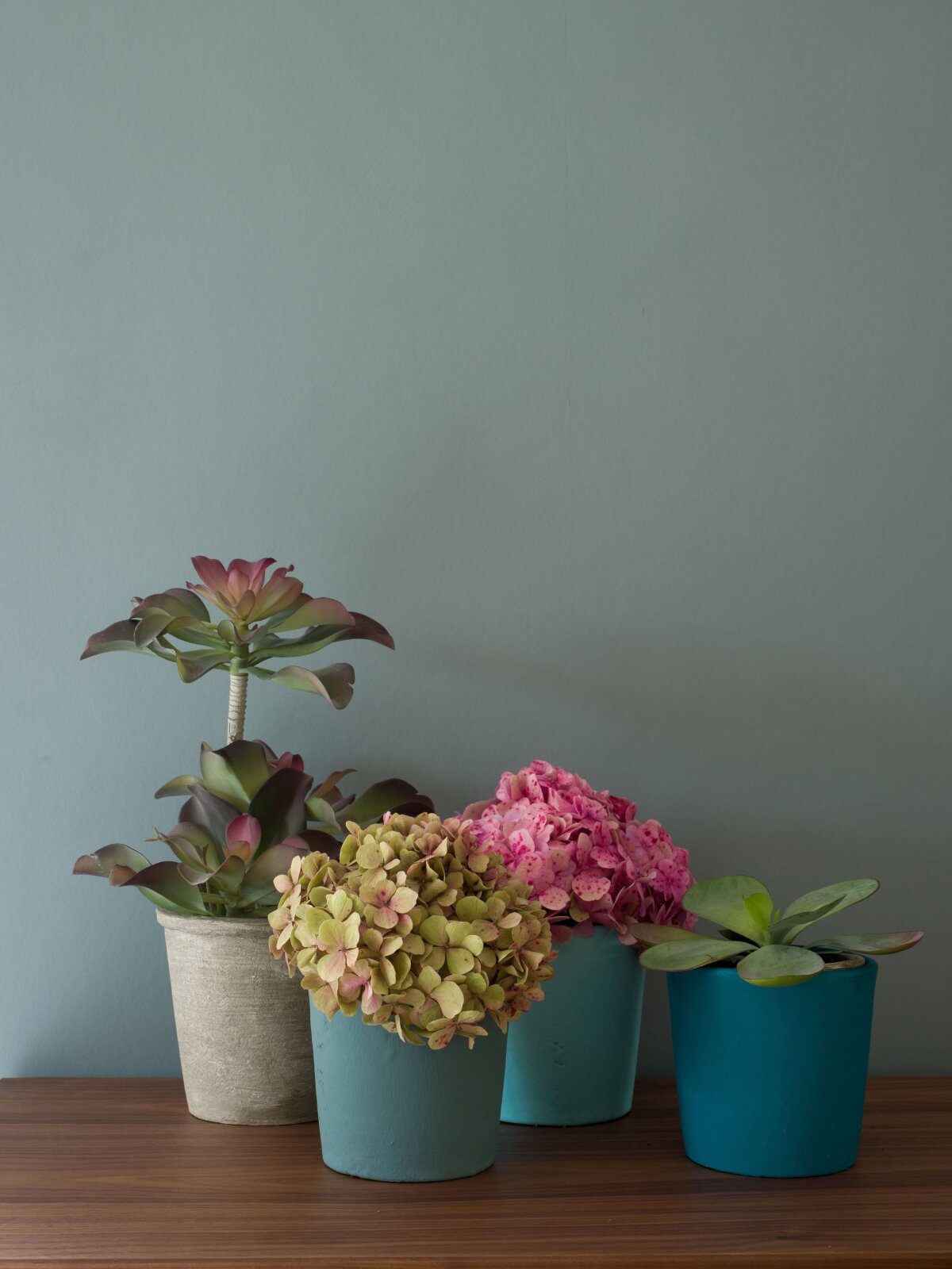Albany Colour of the Month - 'Adam'