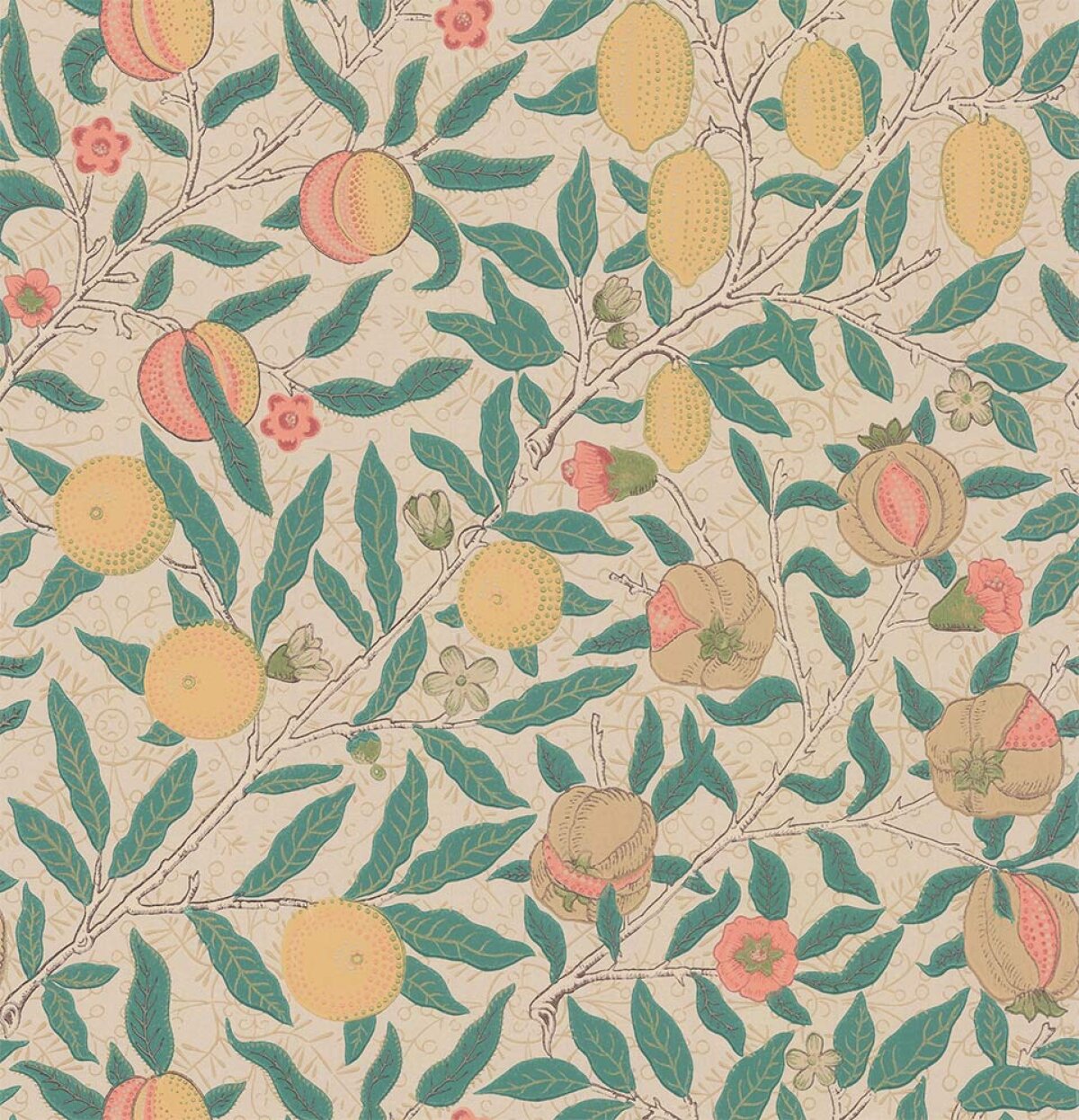 Fruit