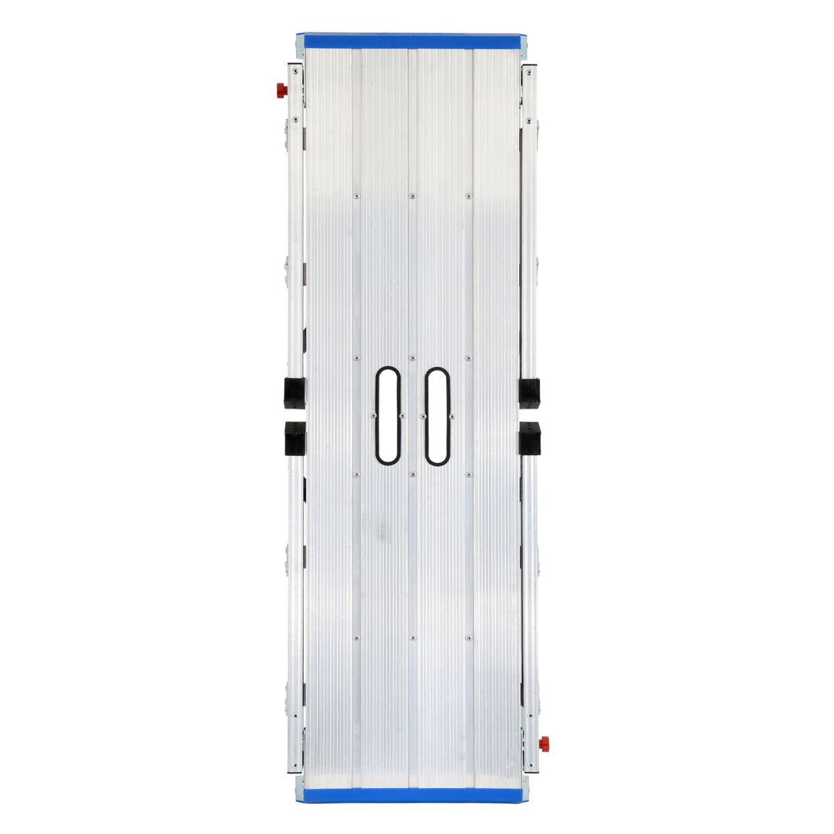 Werner Pro Work Platform