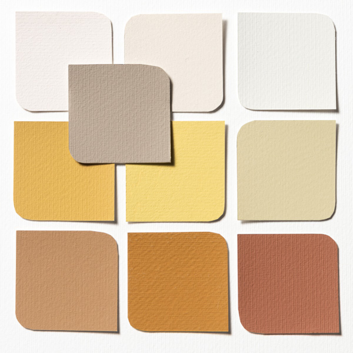 TIMELESS PALETTE