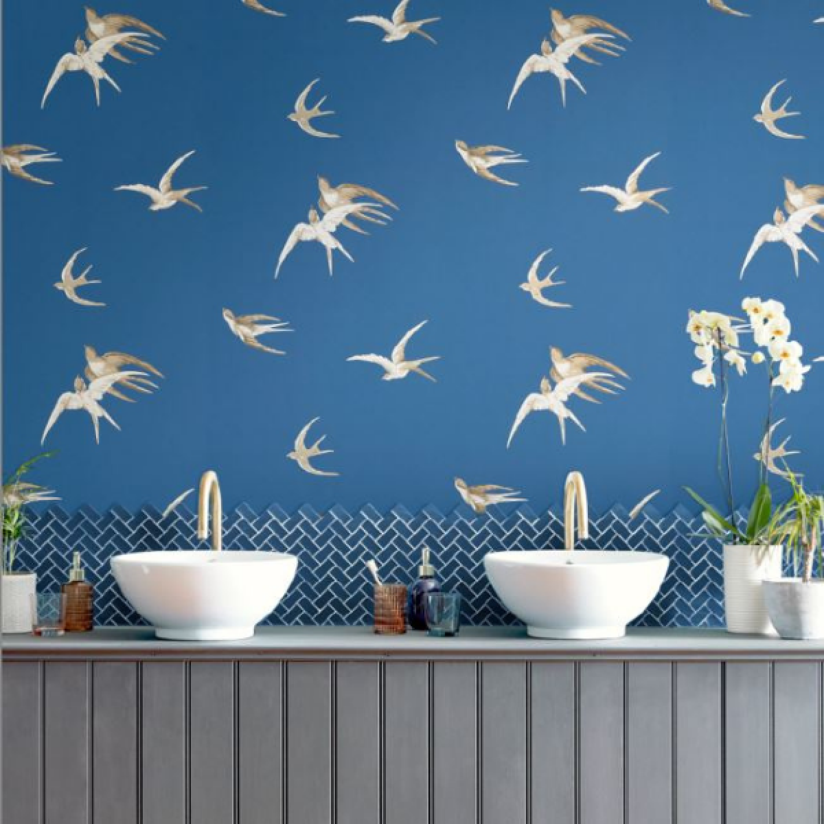 Swallows