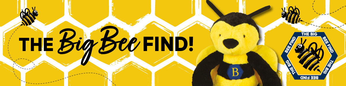 The Big Bee Find