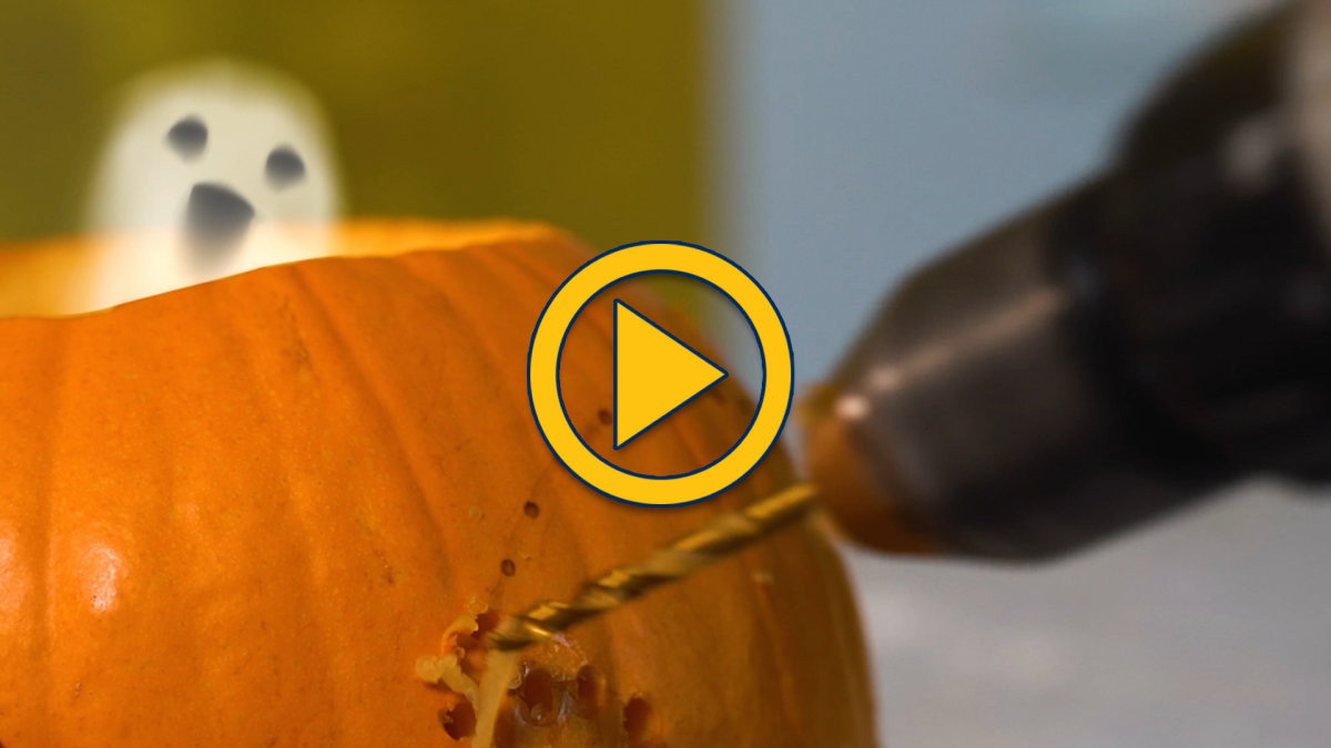 Pumpkin Drilling