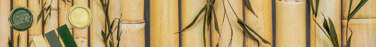 Pioneer Brush Eco Range