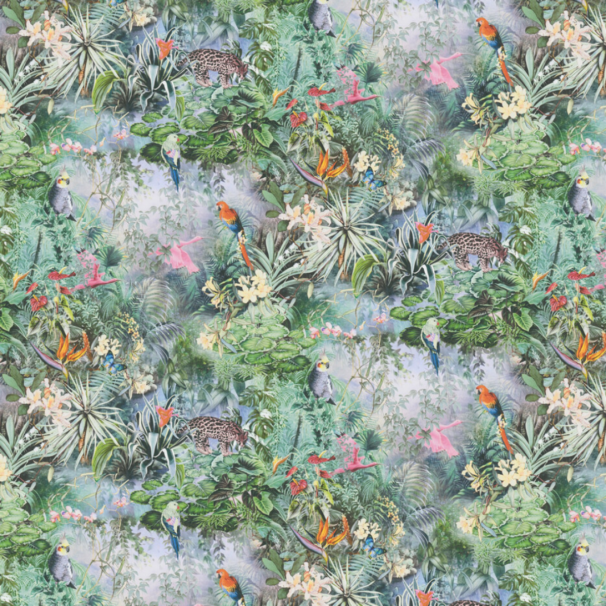 Rainforest Dreams