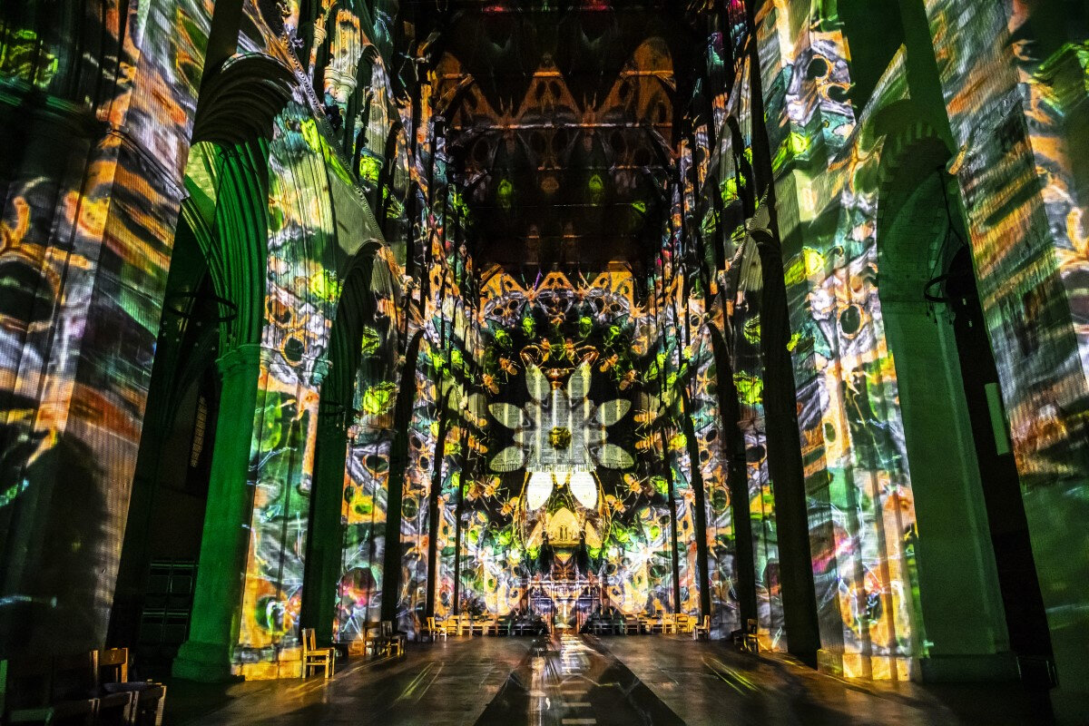 Shine: Let There Be Light!