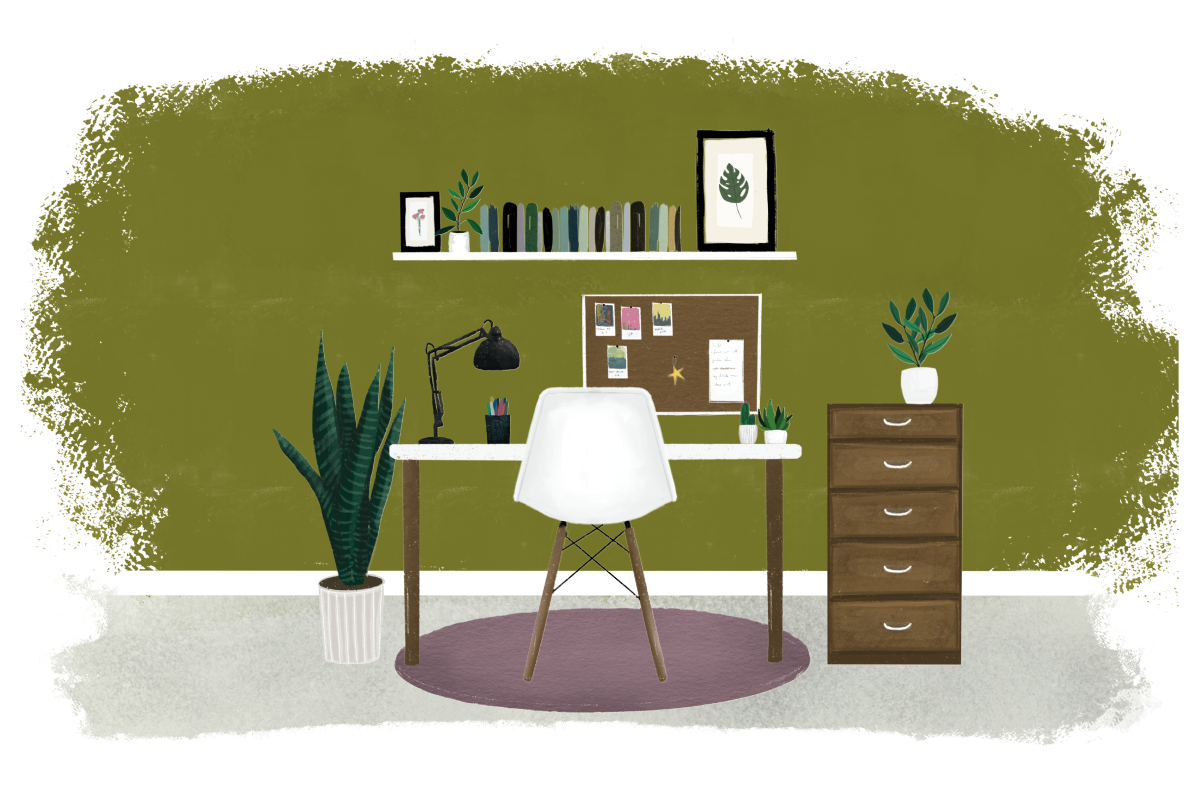 Bold Paint Colours
