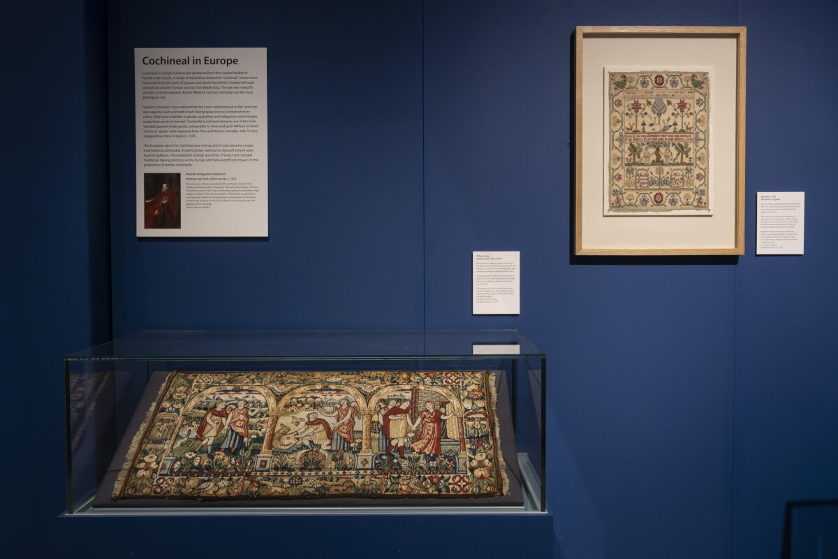 Celebrating Colour with the Museum of Archaeology and Anthropology