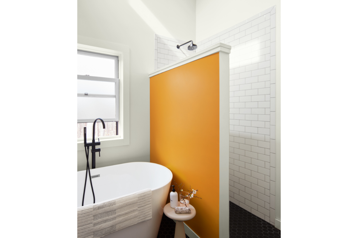 Bathroom Design Ideas