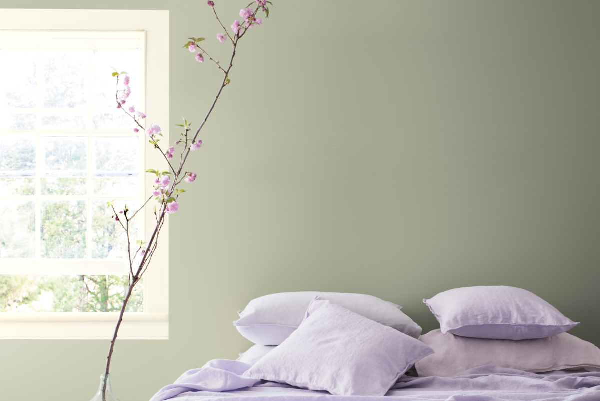 Colour Sample