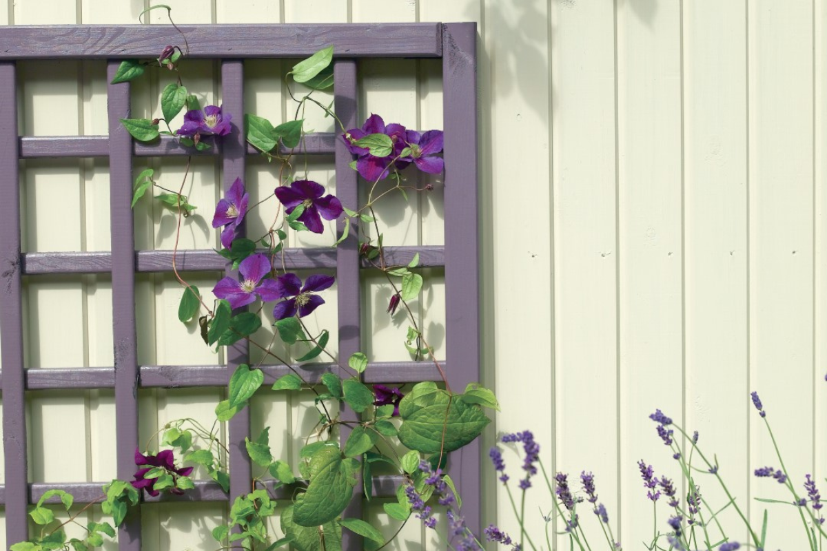 Fence Colours