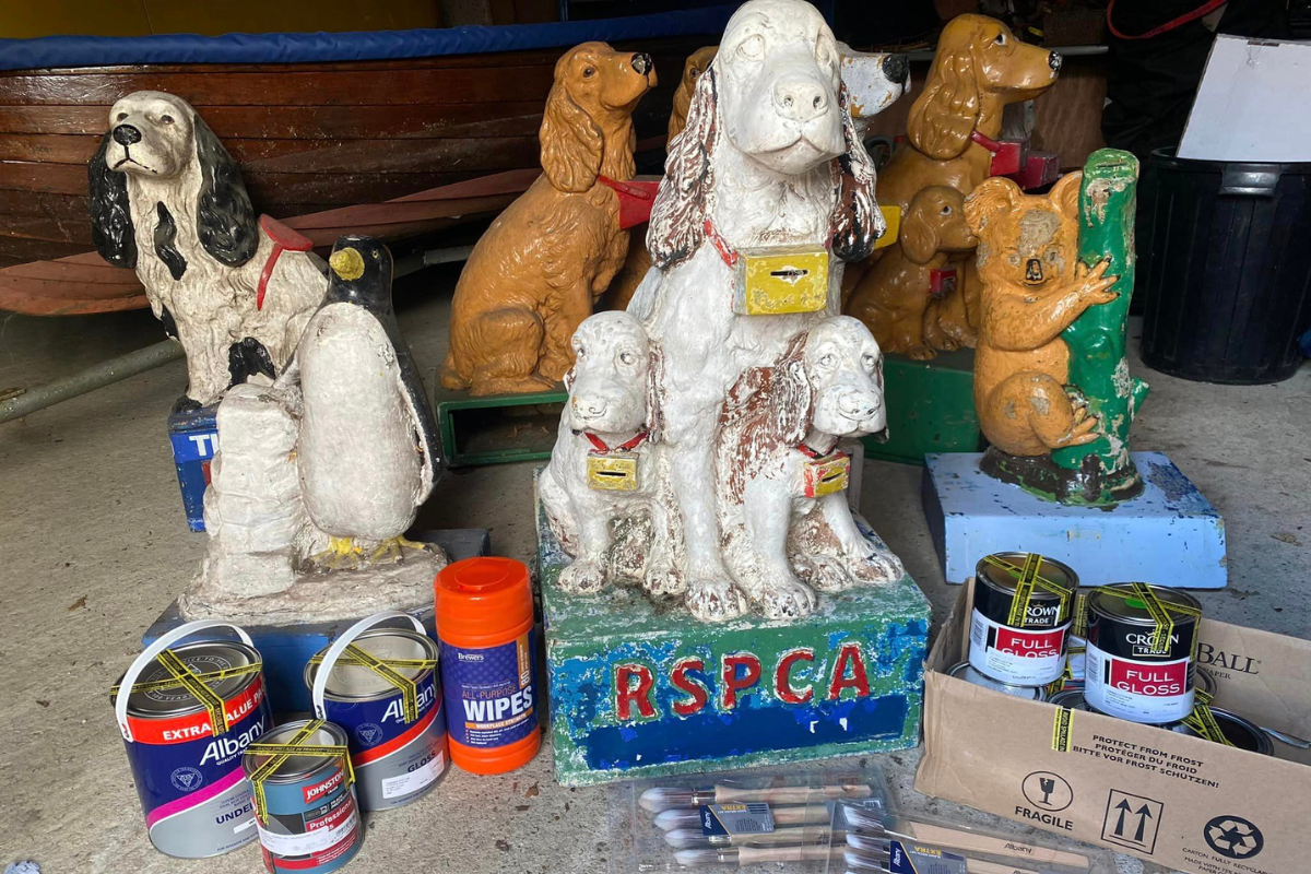 The RSPCA Project
