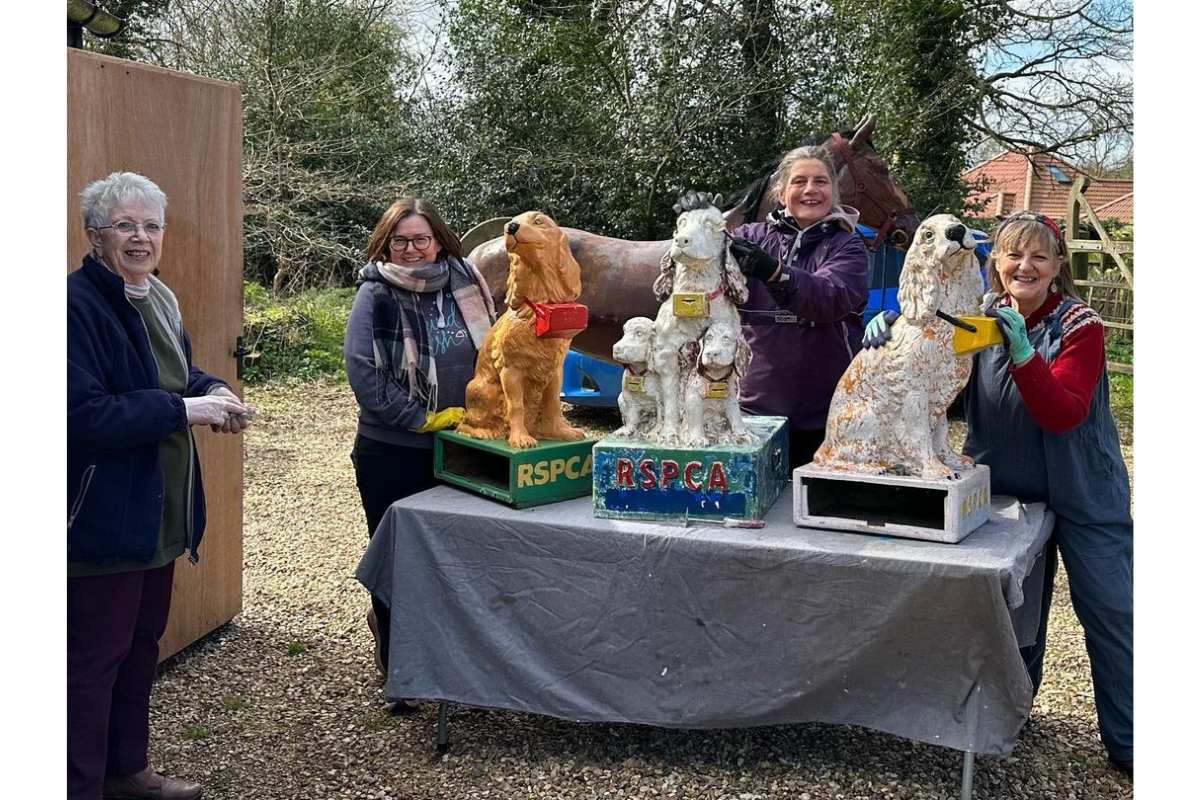 The RSPCA Project