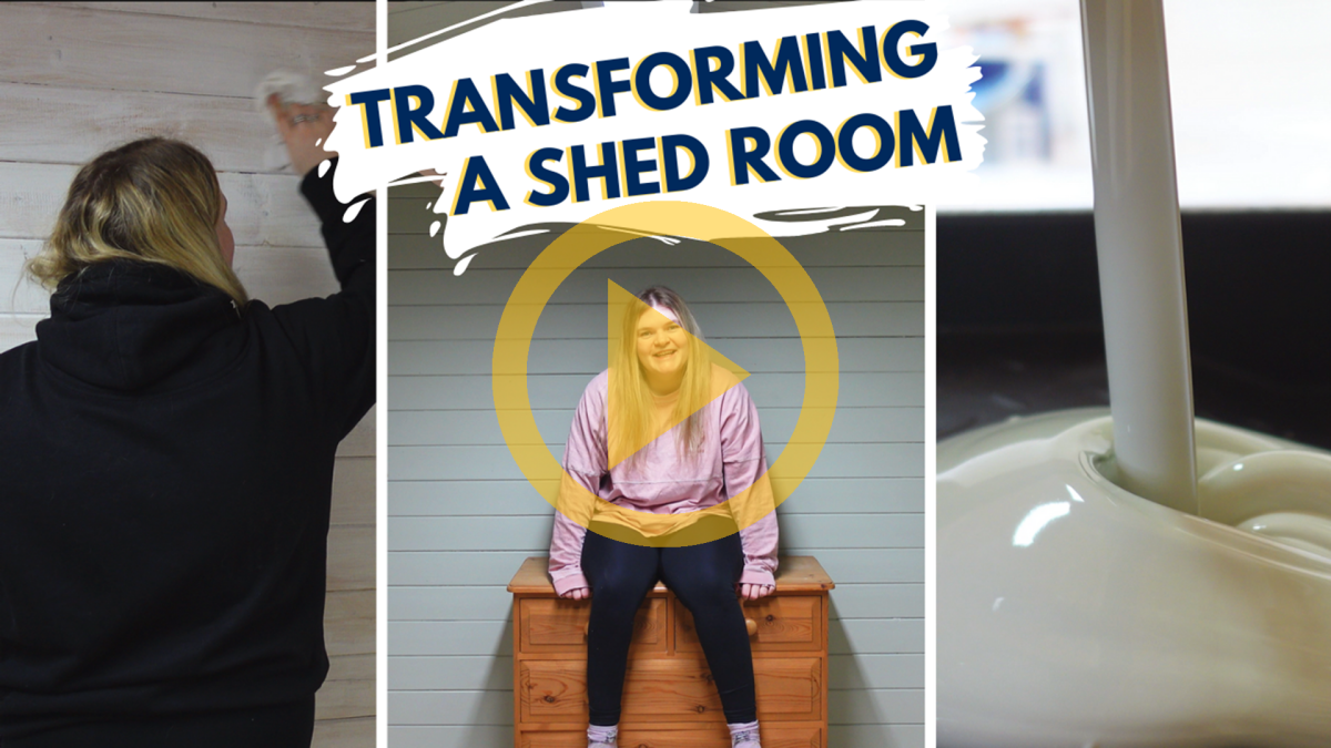 Painting a Shed Room