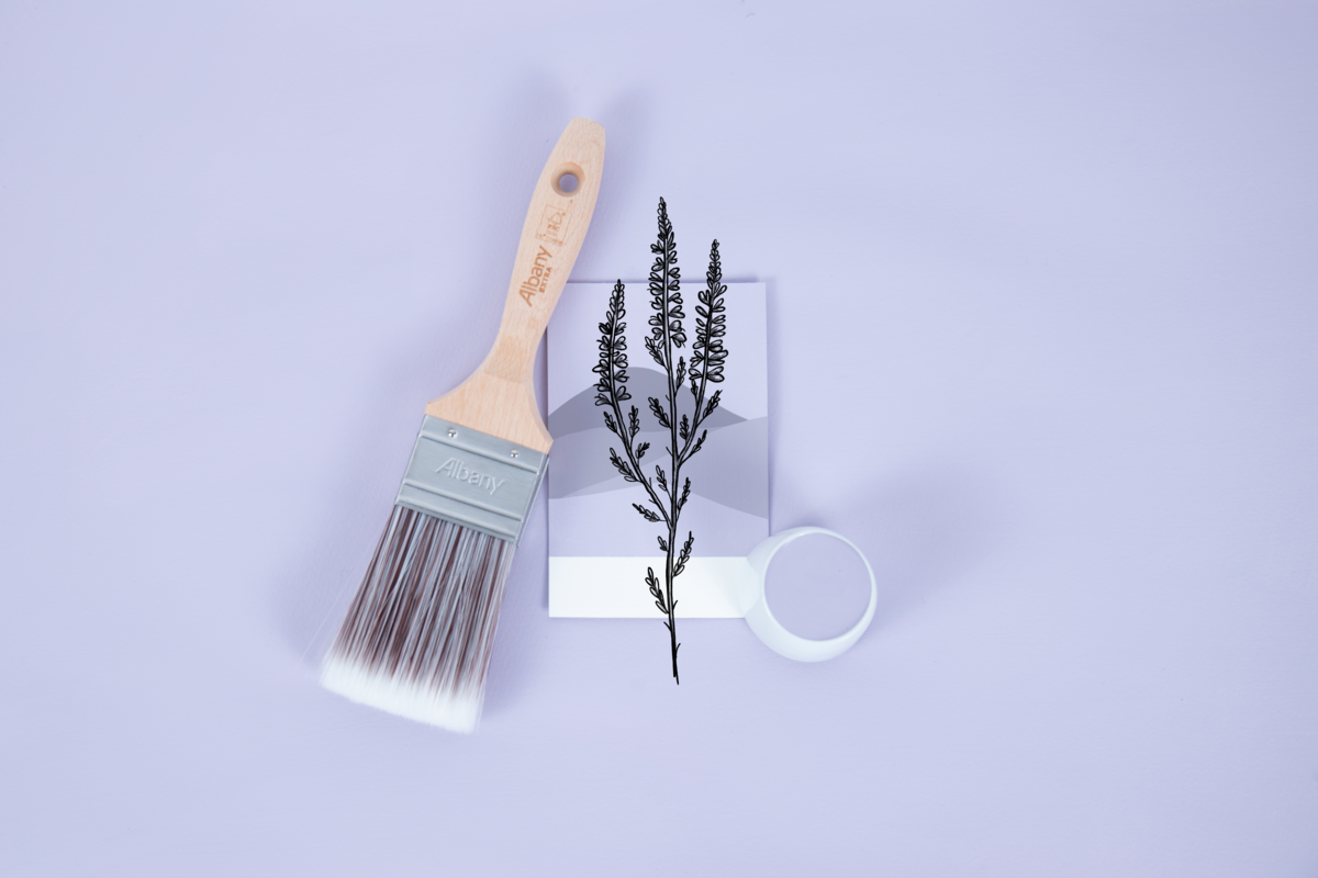 Purple Paint Colours