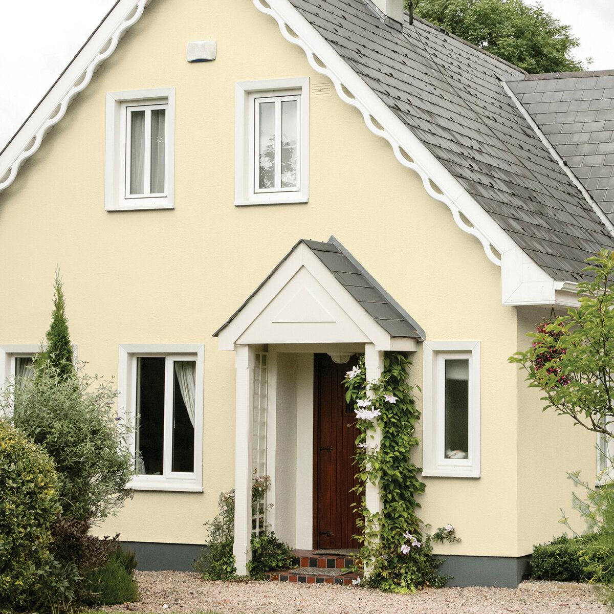 How to Remove Mould