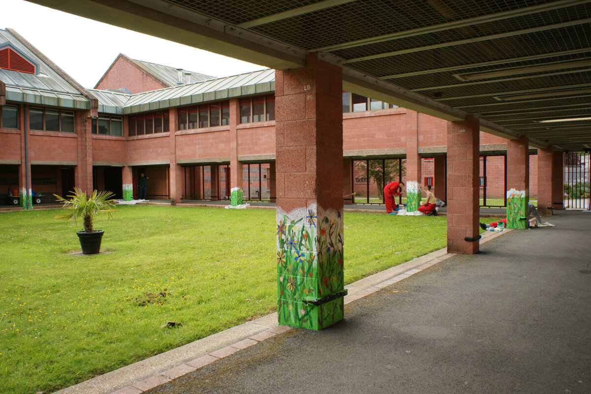 Mind Meadows