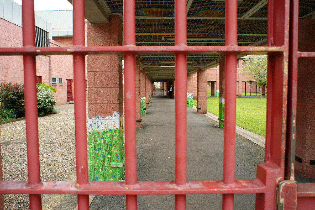 Mind Meadows