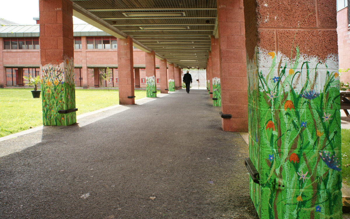 Mind Meadows