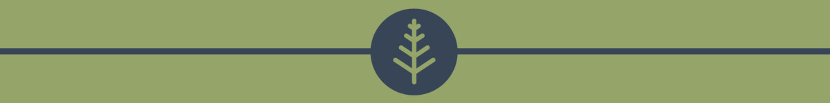 Softwood