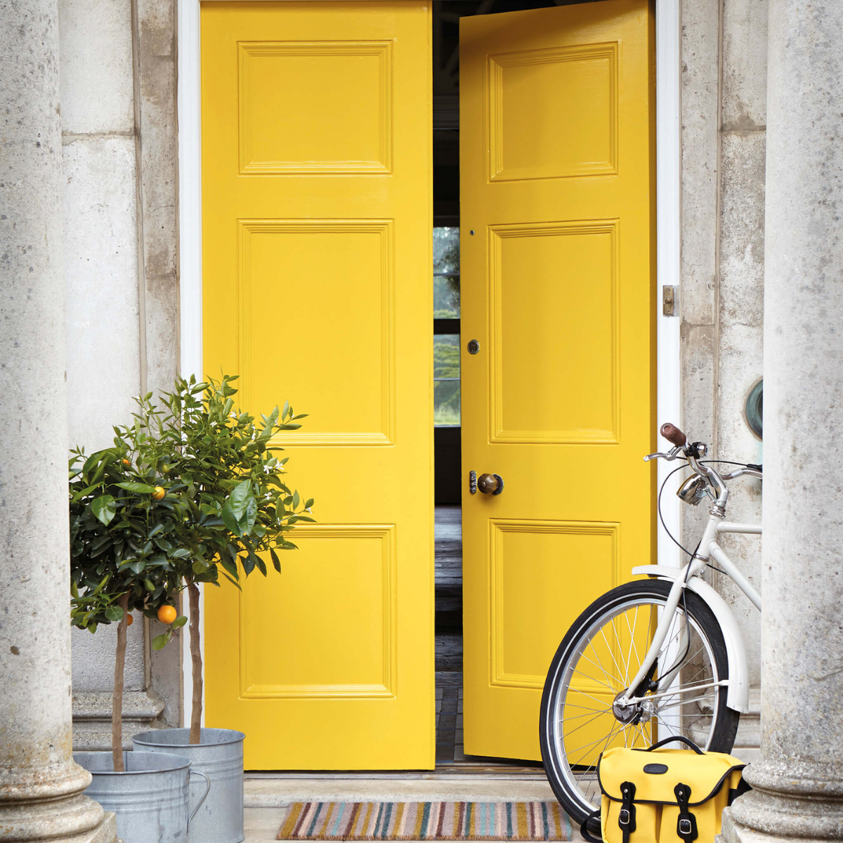 Little Greene, Mister David