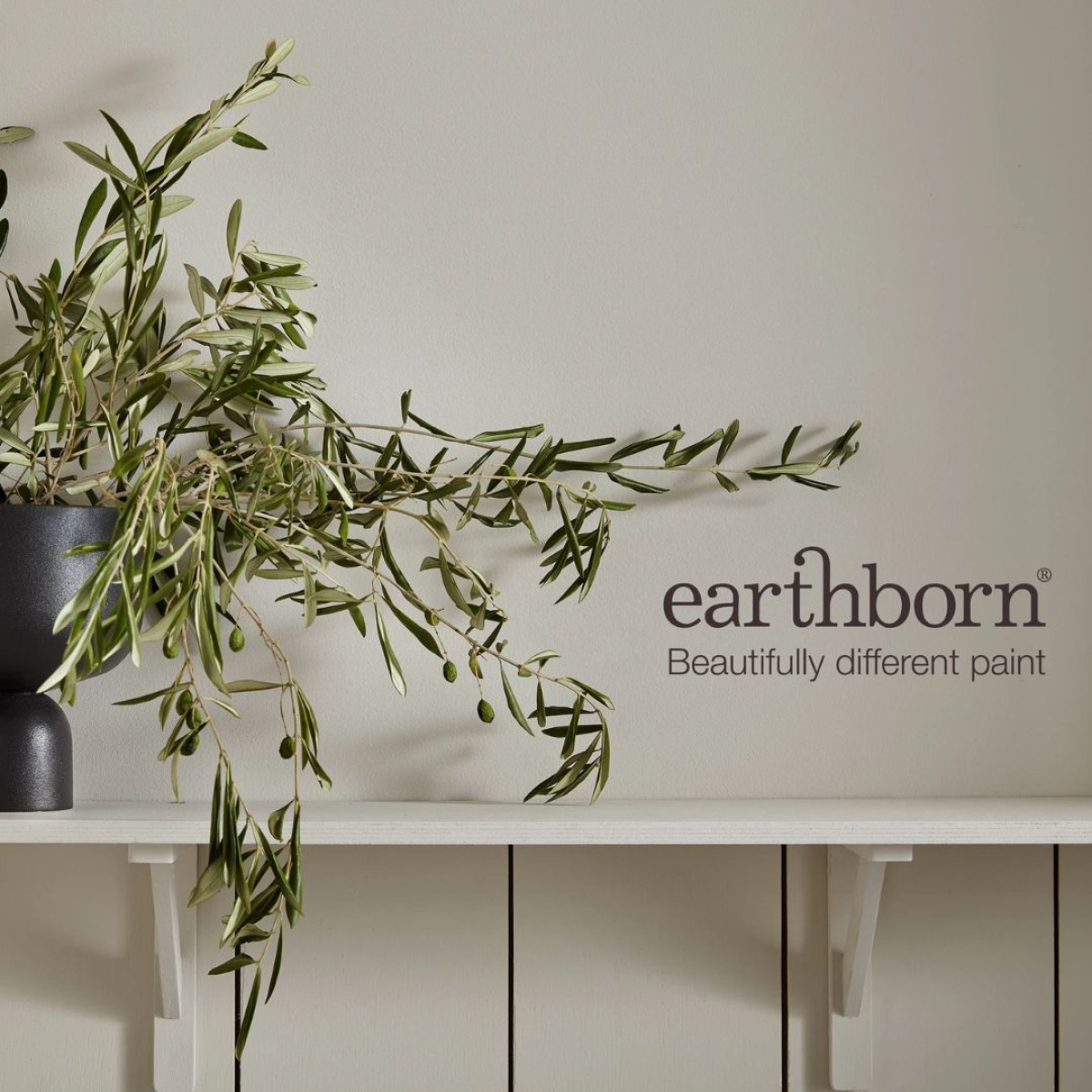 Mineral Paints - Everything You Need To Know!