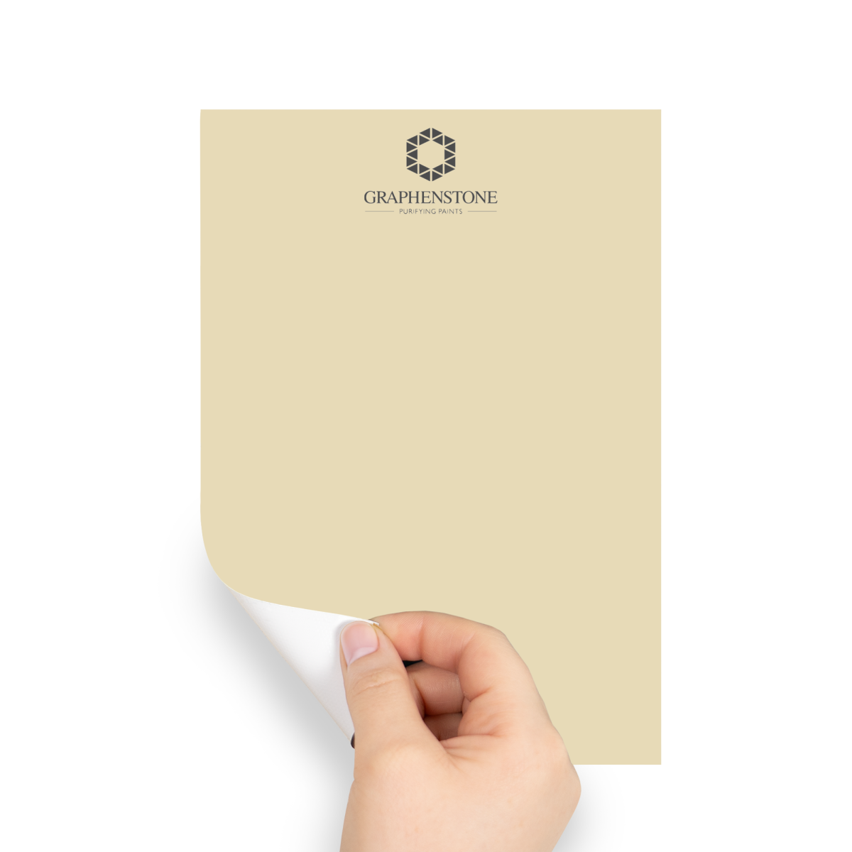 Graphenstone Grafclean Peel & Stick Swatch Wheatberry (BN18111450)