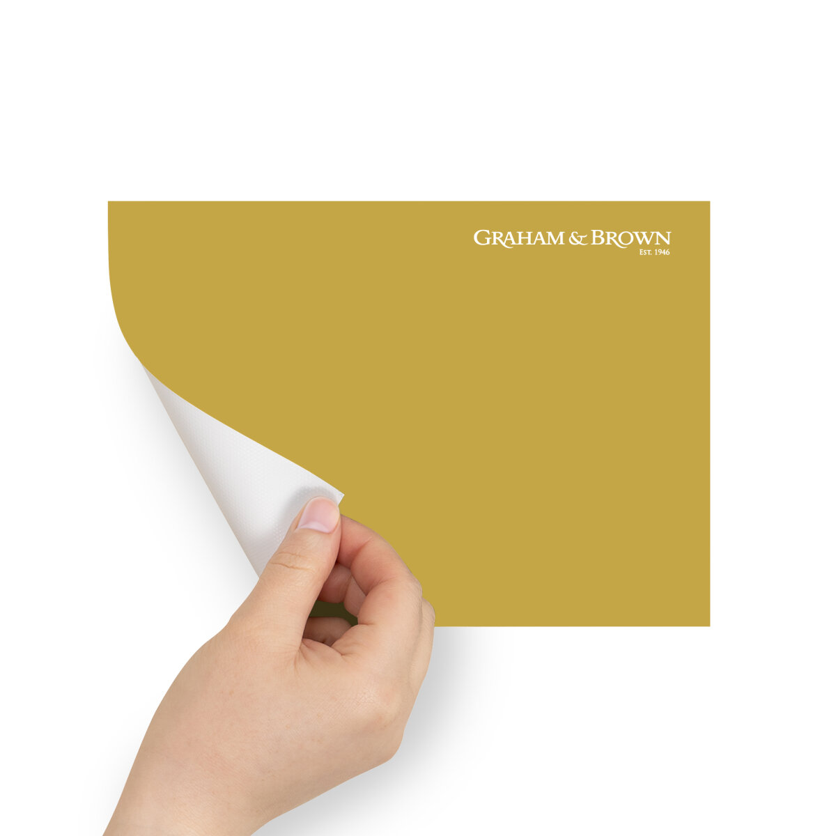 Graham & Brown Peel & Stick Sample Acacia (AV062381010)