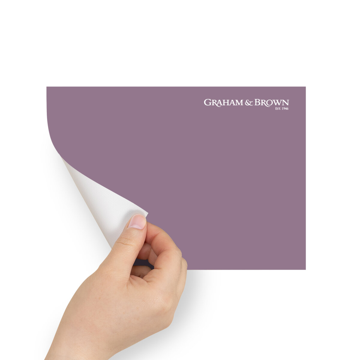 Graham & Brown Peel & Stick Sample Balloon Flower (AV062381145)