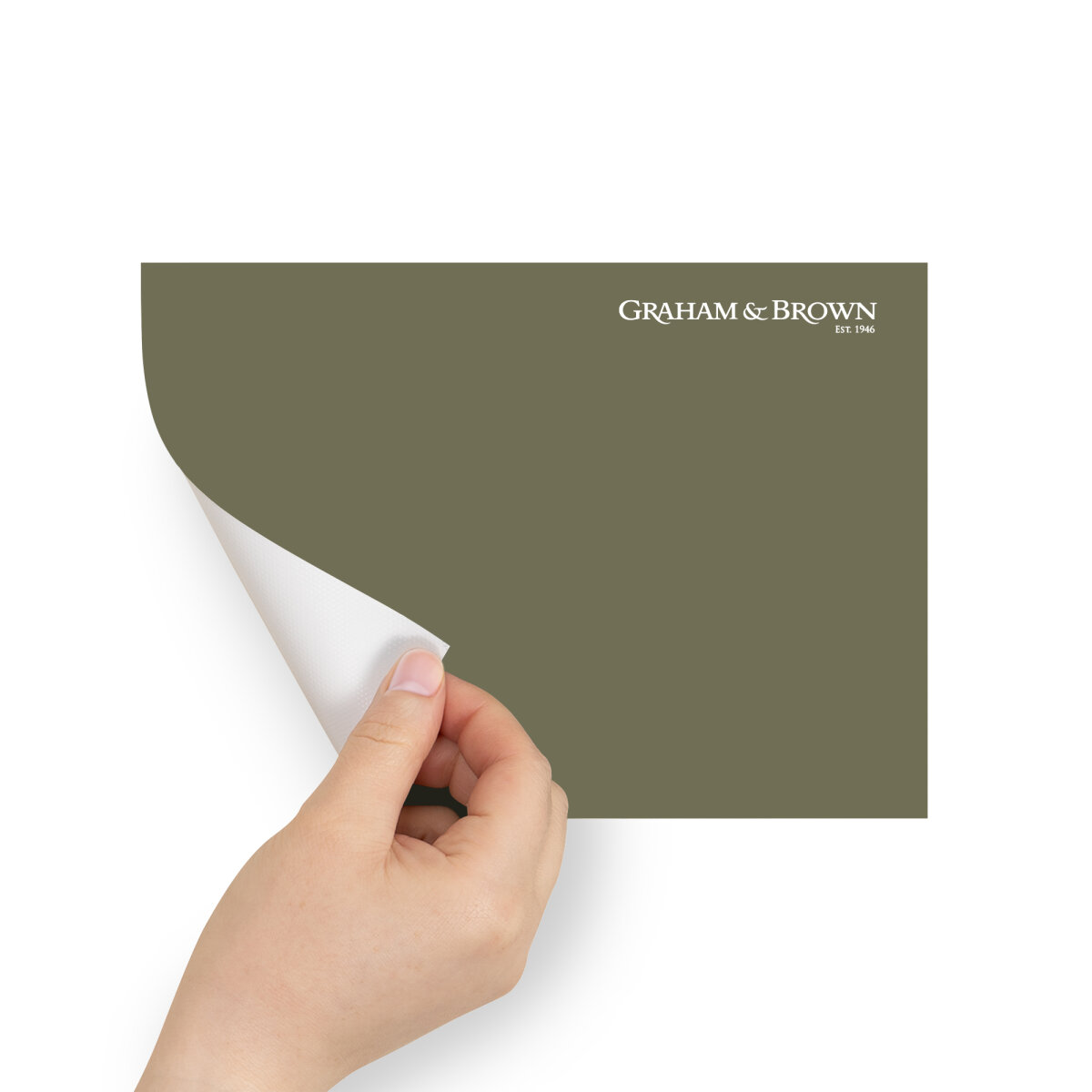 Graham & Brown Peel & Stick Sample Battle (AV062381170)