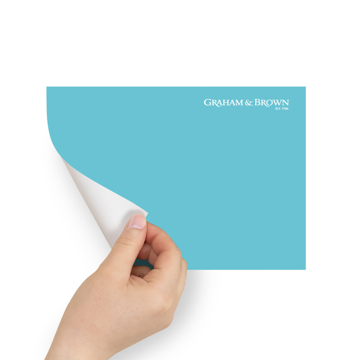 Graham & Brown Peel & Stick Sample Blue Monkey (AV062381240)