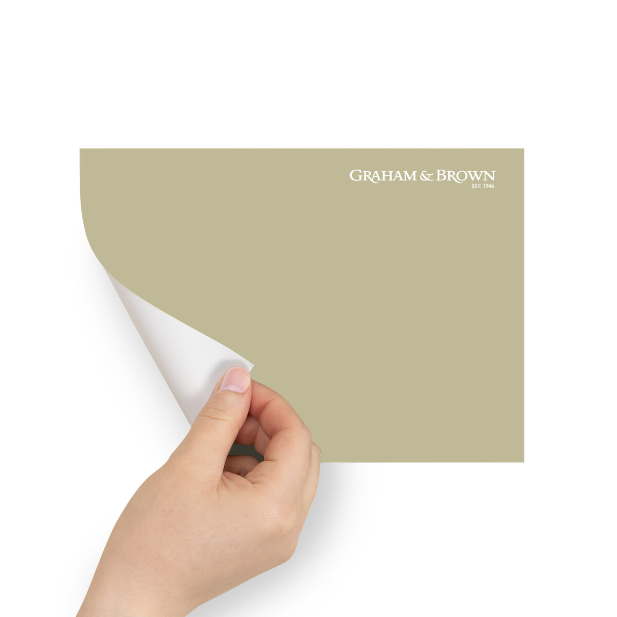 Graham & Brown Peel & Stick Sample Calma (AV062381340)