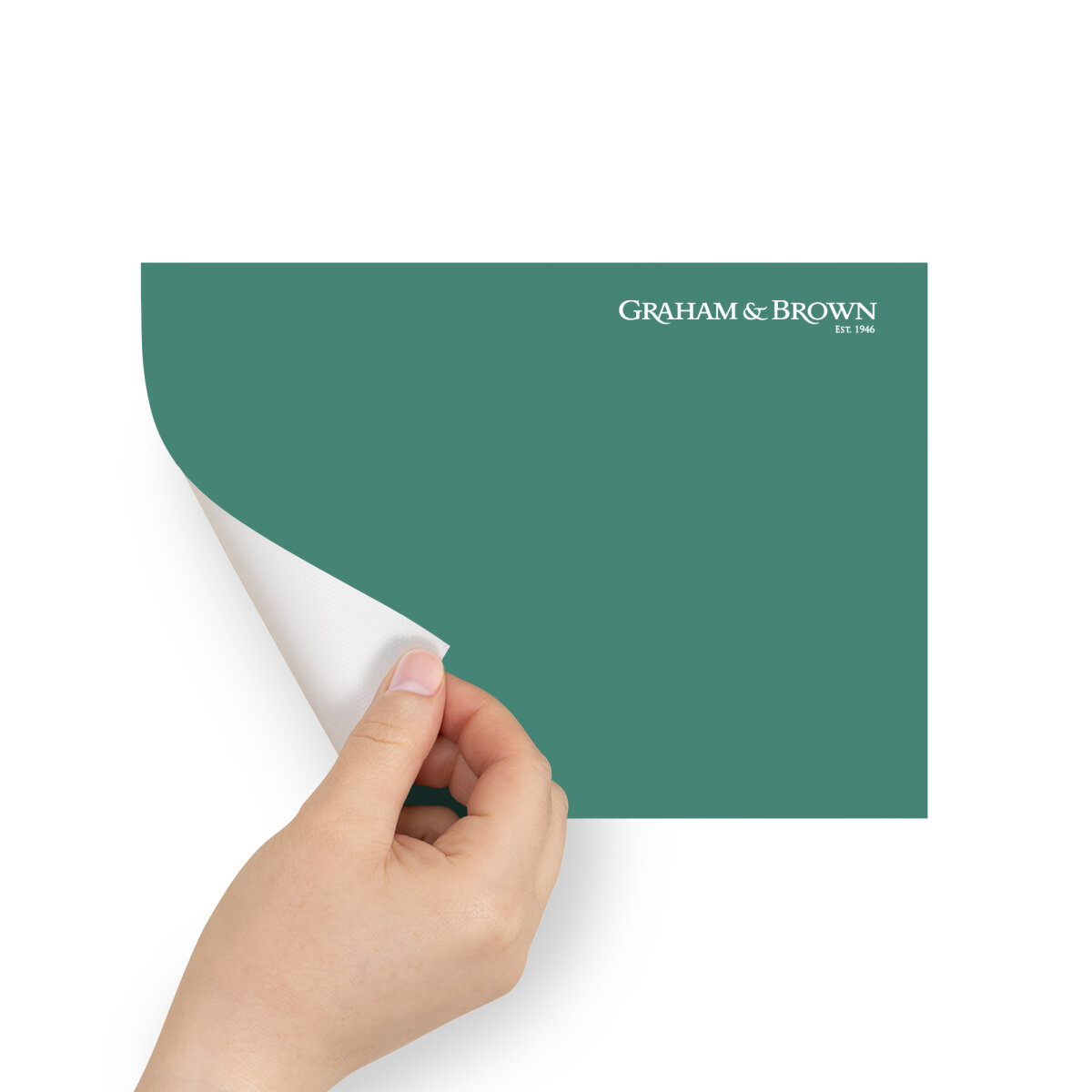 Graham & Brown Peel & Stick Sample Canopy (AV062381360)