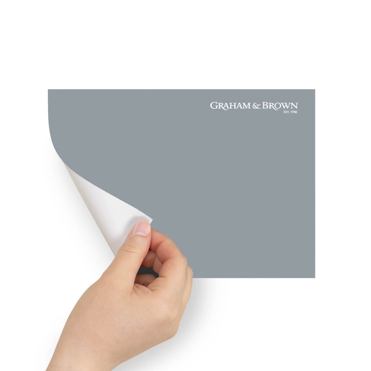 Graham & Brown Peel & Stick Sample Charmed (AV062381395)