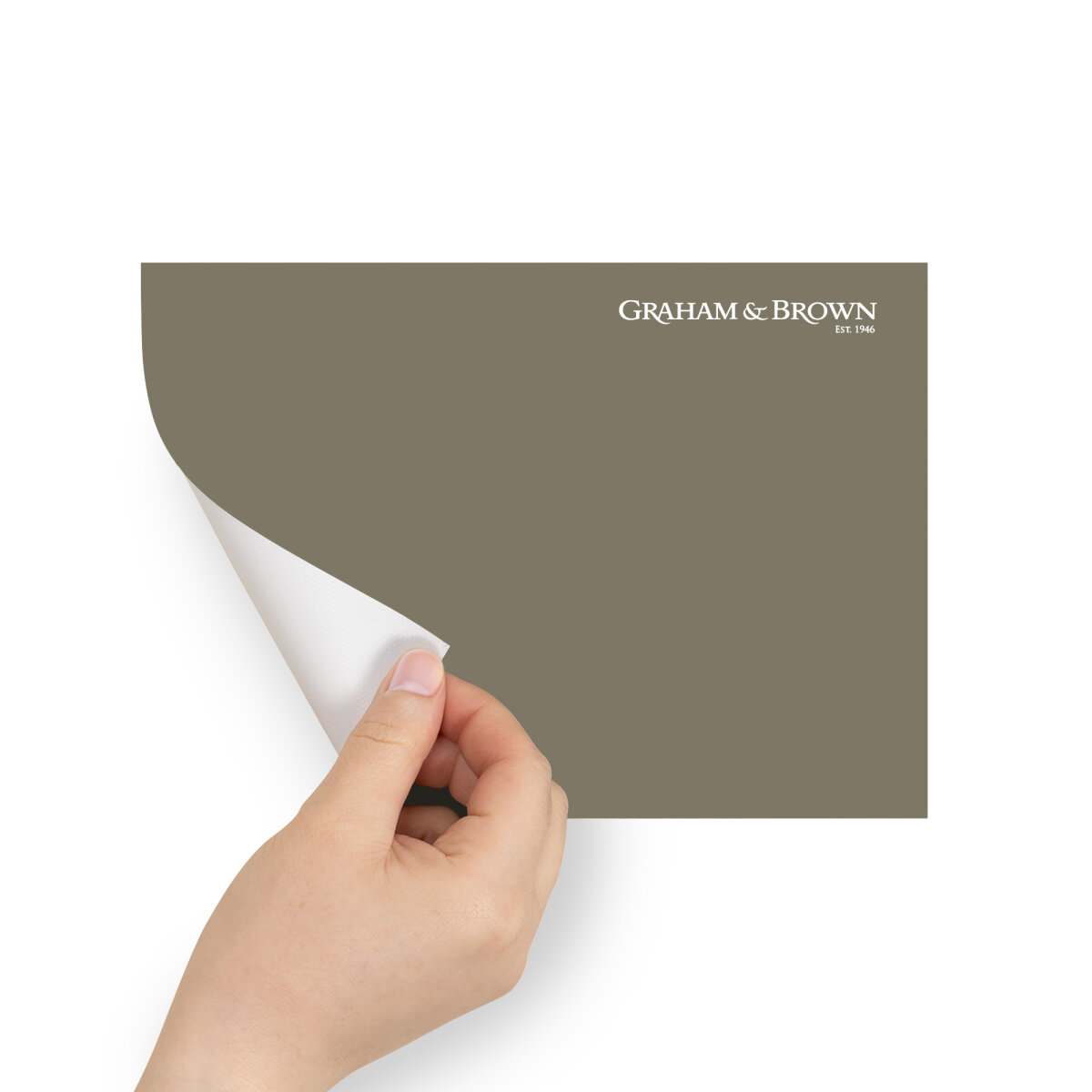 Graham & Brown Peel & Stick Sample Cogsworth (AV062381465)
