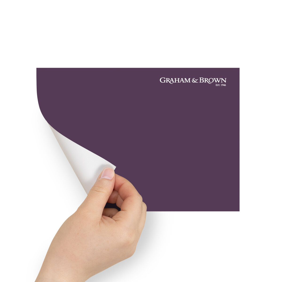 Graham & Brown Peel & Stick Sample Damson In Distress (AV062381535)