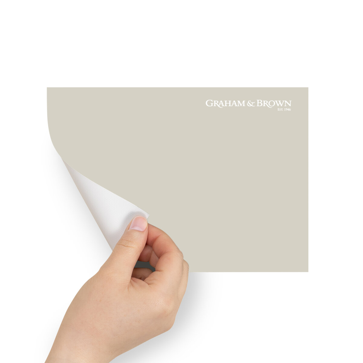 Graham & Brown Peel & Stick Sample Dorian Gray (AV062381580)
