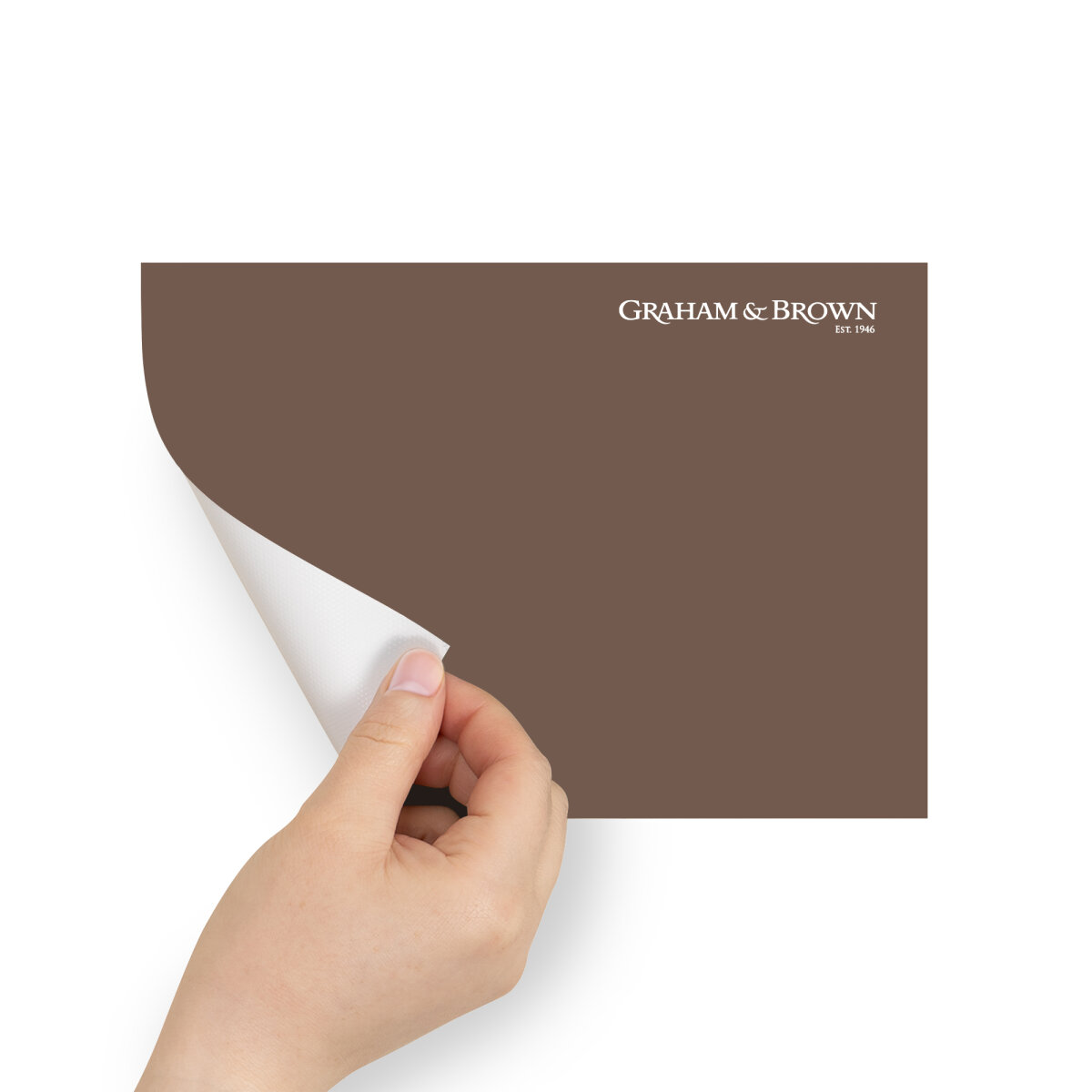 Graham & Brown Peel & Stick Sample Elderton (AV062381655)