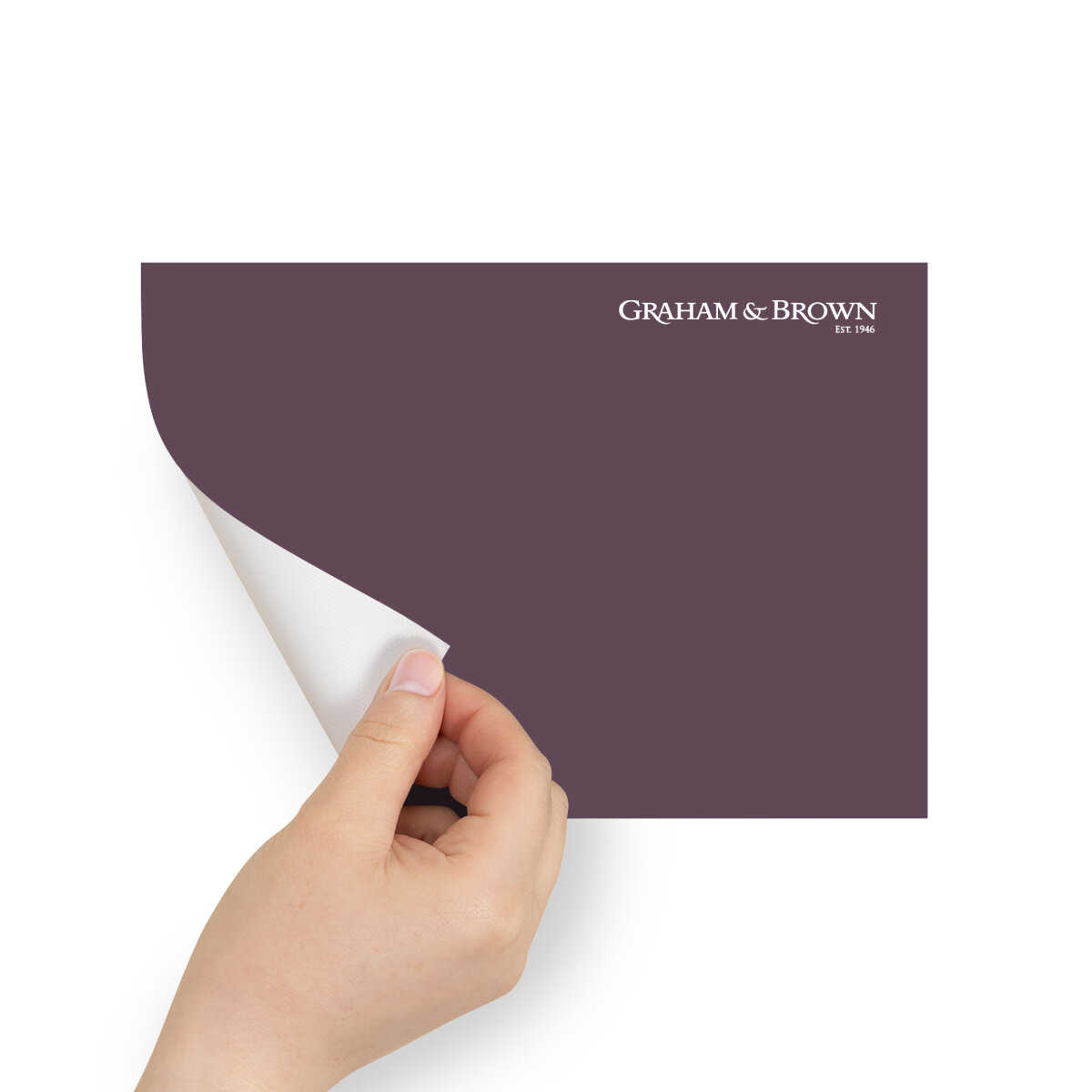 Graham & Brown Peel & Stick Sample Epoch (AV062381675)