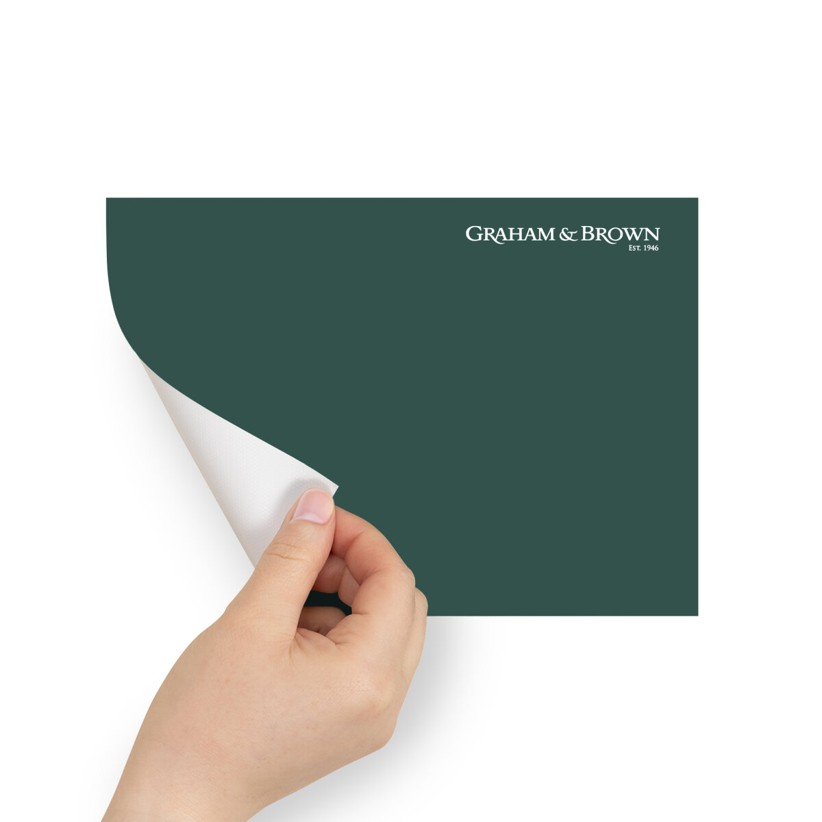 Graham & Brown Peel & Stick Sample Glasshouse (AV062381815)