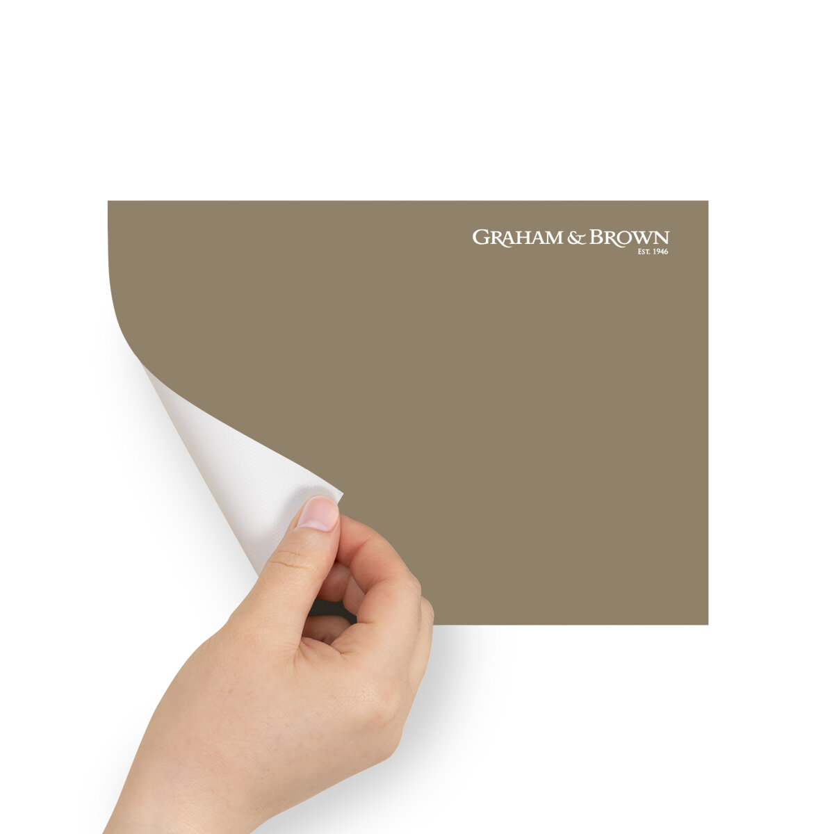 Graham & Brown Peel & Stick Sample Hera (AV062381880)