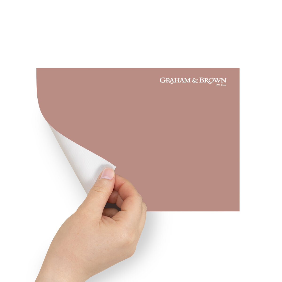 Graham & Brown Peel & Stick Sample Highland Rose (AV062381895)
