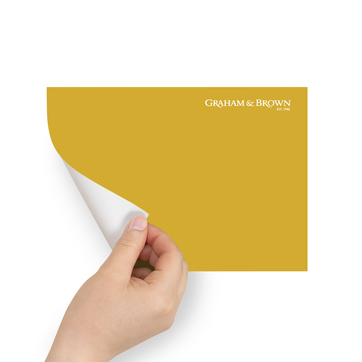 Graham & Brown Peel & Stick Sample Lioness (AV062382070)